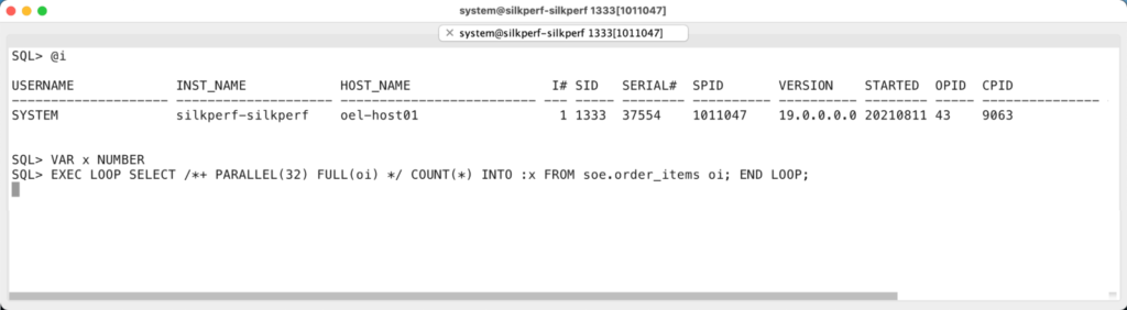 Oracle Parallel Query